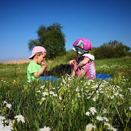 Steinhus, In Mit Sonniger Terrasse Holiday home *